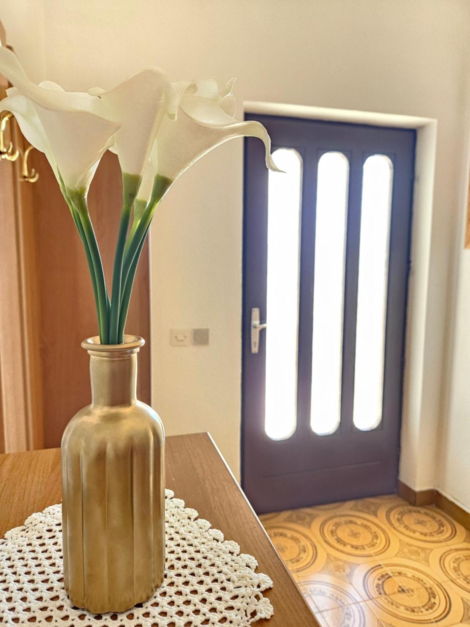 Apartments Brkulj マカルスカ エクステリア 写真